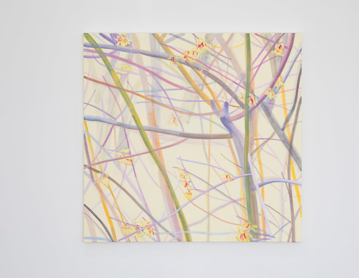 木村彩子 個展「此処や彼処」2025.1.24 - 2.22
