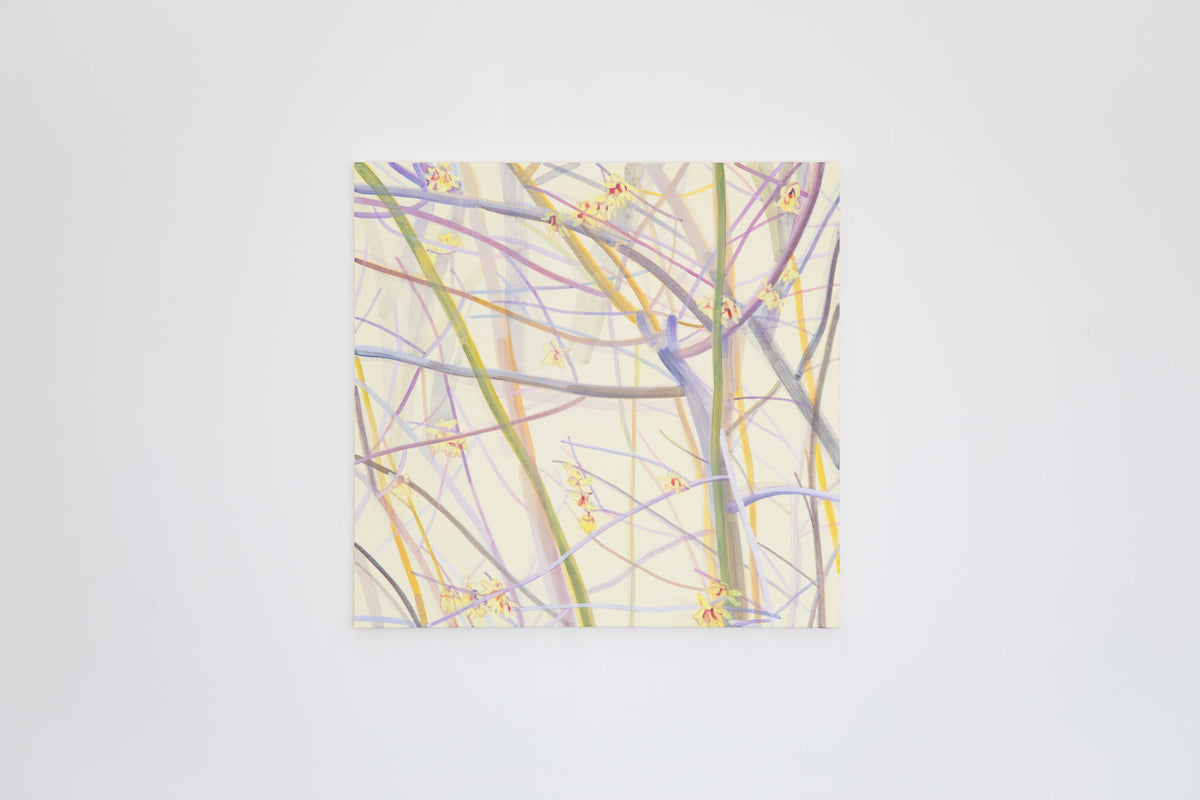 木村彩子 個展「此処や彼処」2025.1.24-2.22