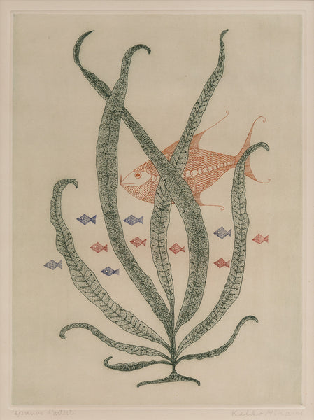 赤い魚 – CANDYBAR Gallery